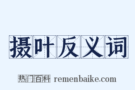 摄叶反义词是什么意思的图片